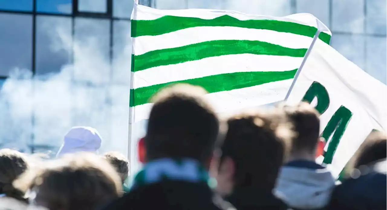 Hammarby kritiskt till supportrarnas bemötande: 'Hade förväntat oss ett bättre välkomnande'