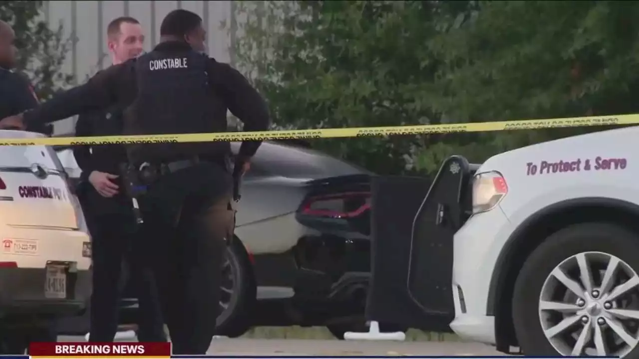 Alleged car thief shot dead in exchange of gunfire in Harris County