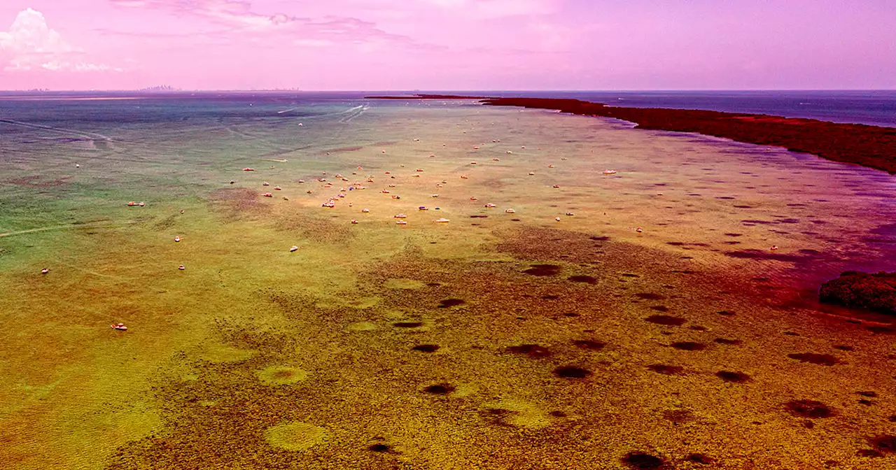 Florida's Ocean Now Officially the Temperature of a Hot Tub