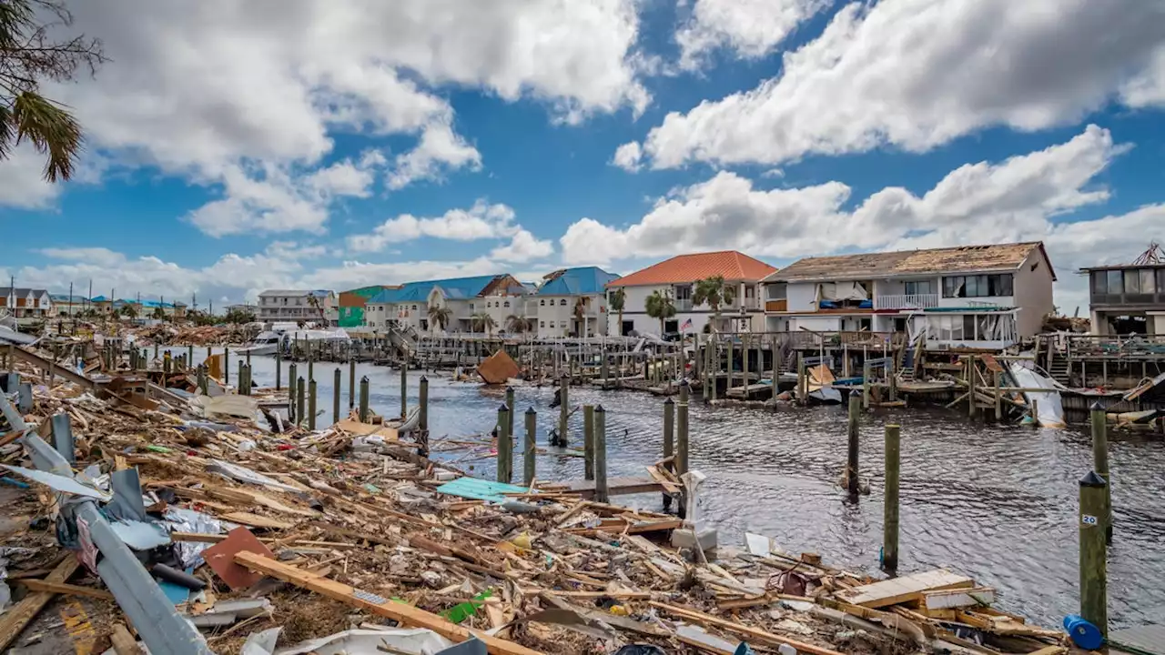 Tropical Storms Leave Behind Lots of Nasty Germs, Study Finds