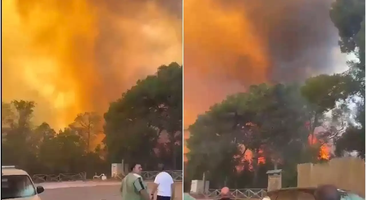 Incendio alla pineta di Ugento, bagnanti scappano dagli stabilimenti. Evacuata una masseria