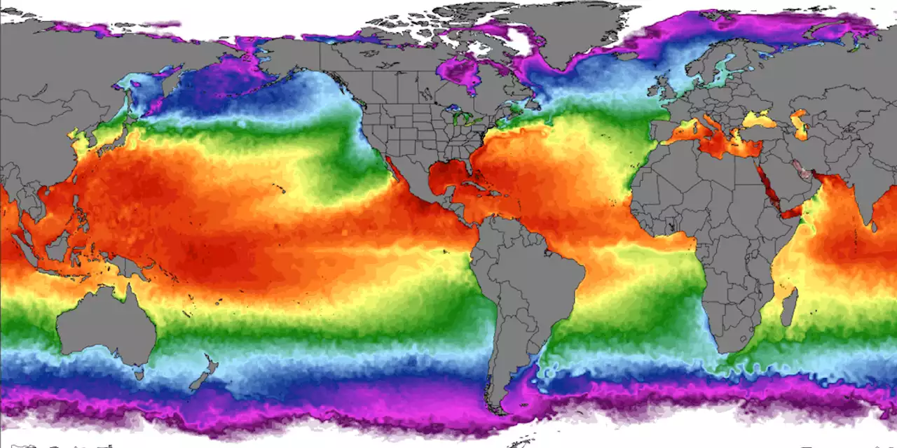 Anche nei mari si raggiungono nuovi record di temperatura - Il Post