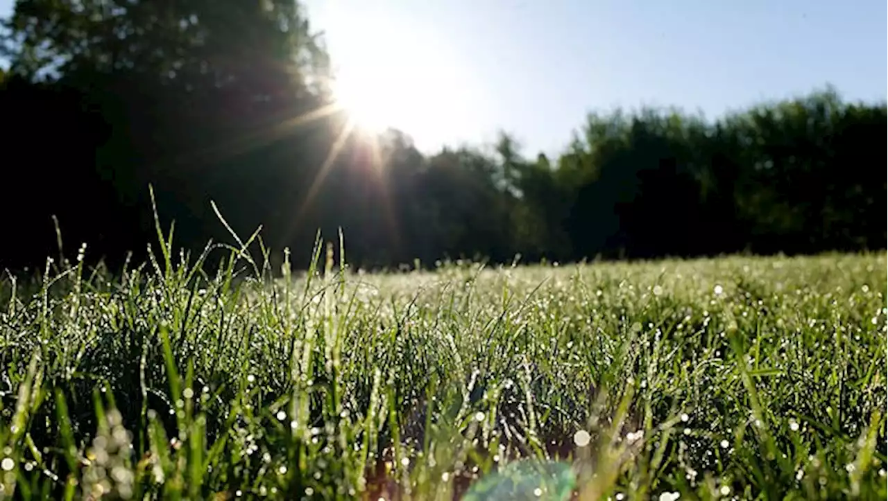 Nur 7 Grad am Morgen, dann wird es wieder wärmer