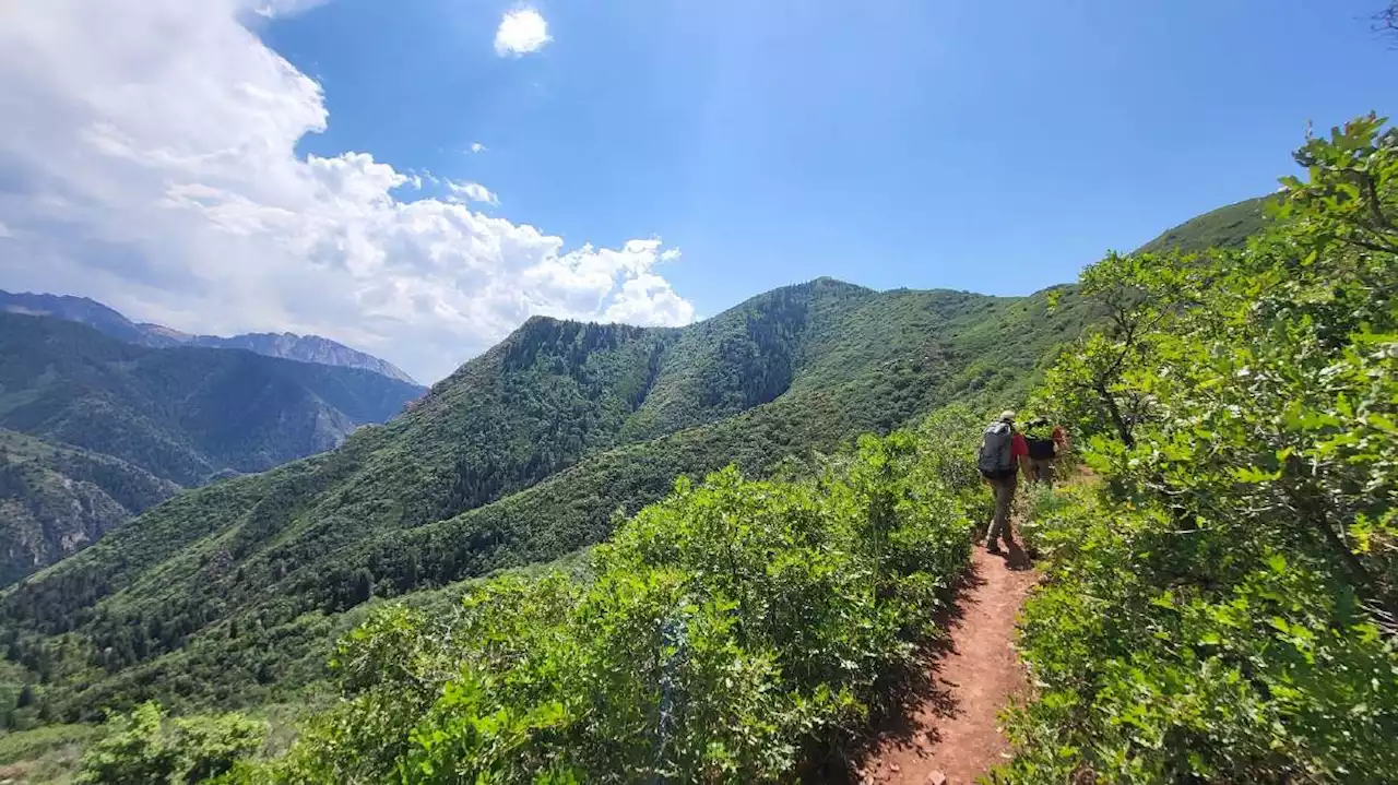 Dog dies on popular Utah trail