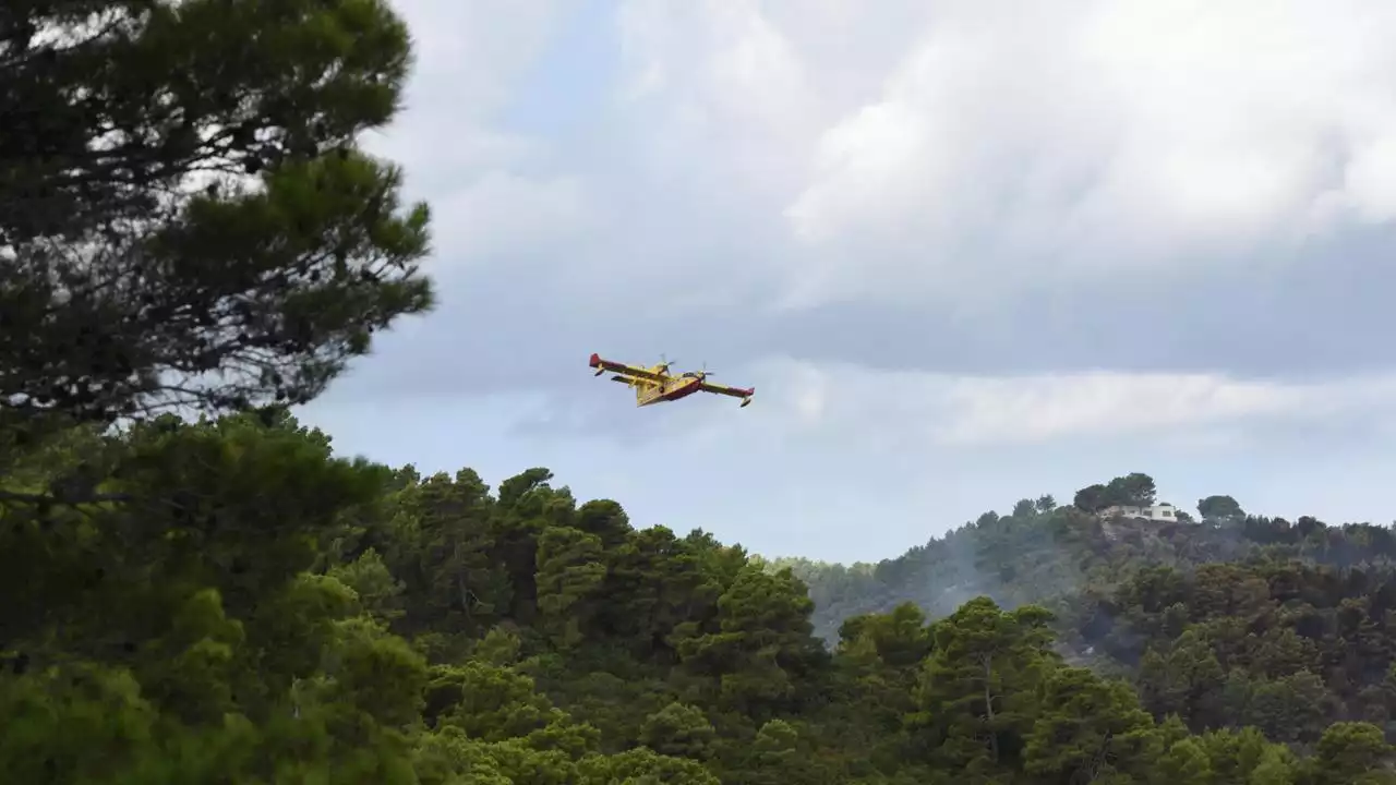 Salento, a fuoco la pineta di Ugento: bagnanti lasciano i lidi