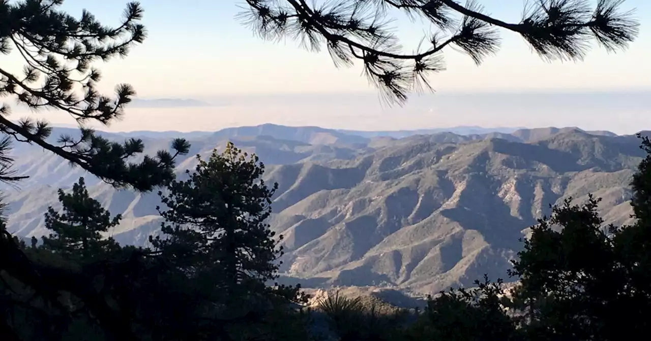 Forest thinning on Pine Mountain can move forward after Patagonia, Ventura County lawsuit dismissed