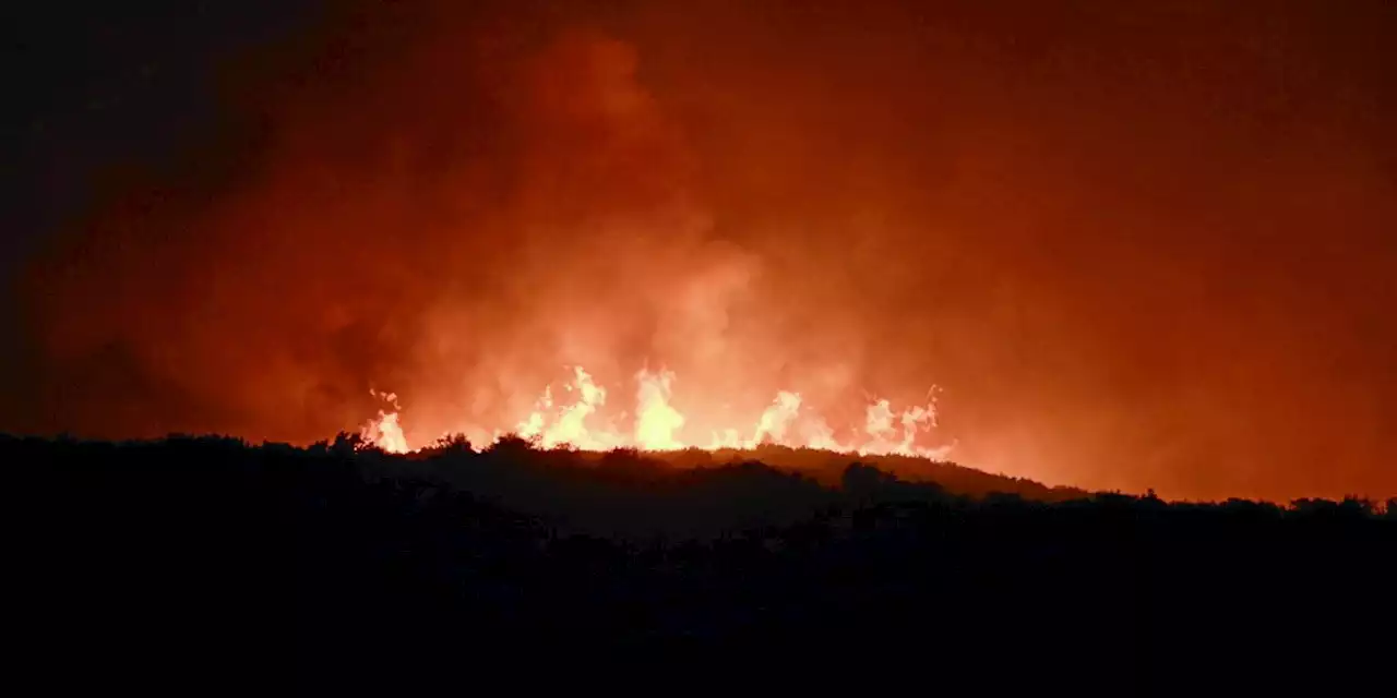 Incendies en Grèce : la difficile tâche des pompiers