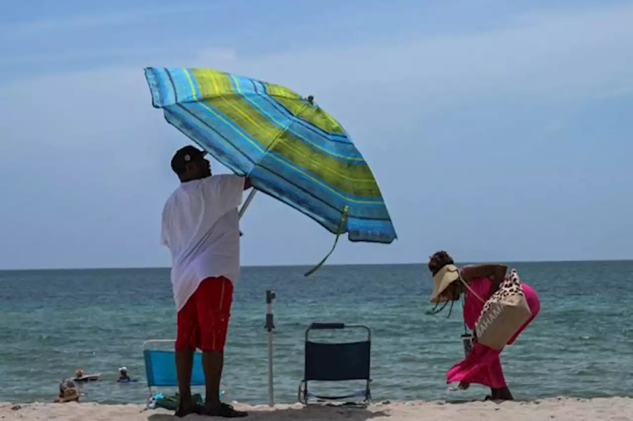 Tingkatkan Kewaspadaan, Suhu Air di Florida Capai Rekor Tertinggi