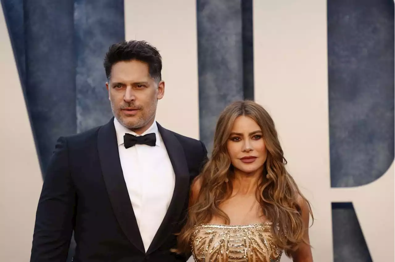 Who gets Bubbles? Sofia Vergara and Joe Manganiello brace for dog custody talk