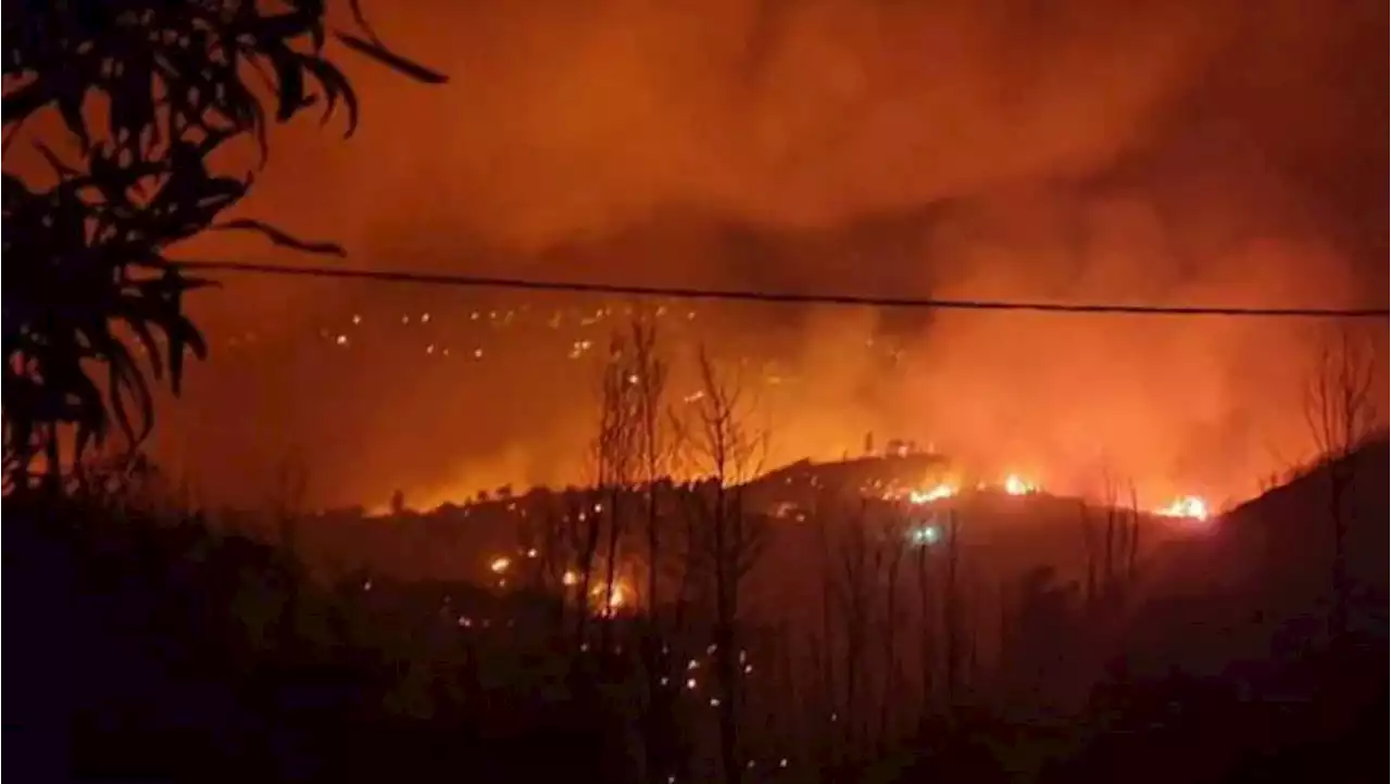 Un pirómano provoca incendios en Italia