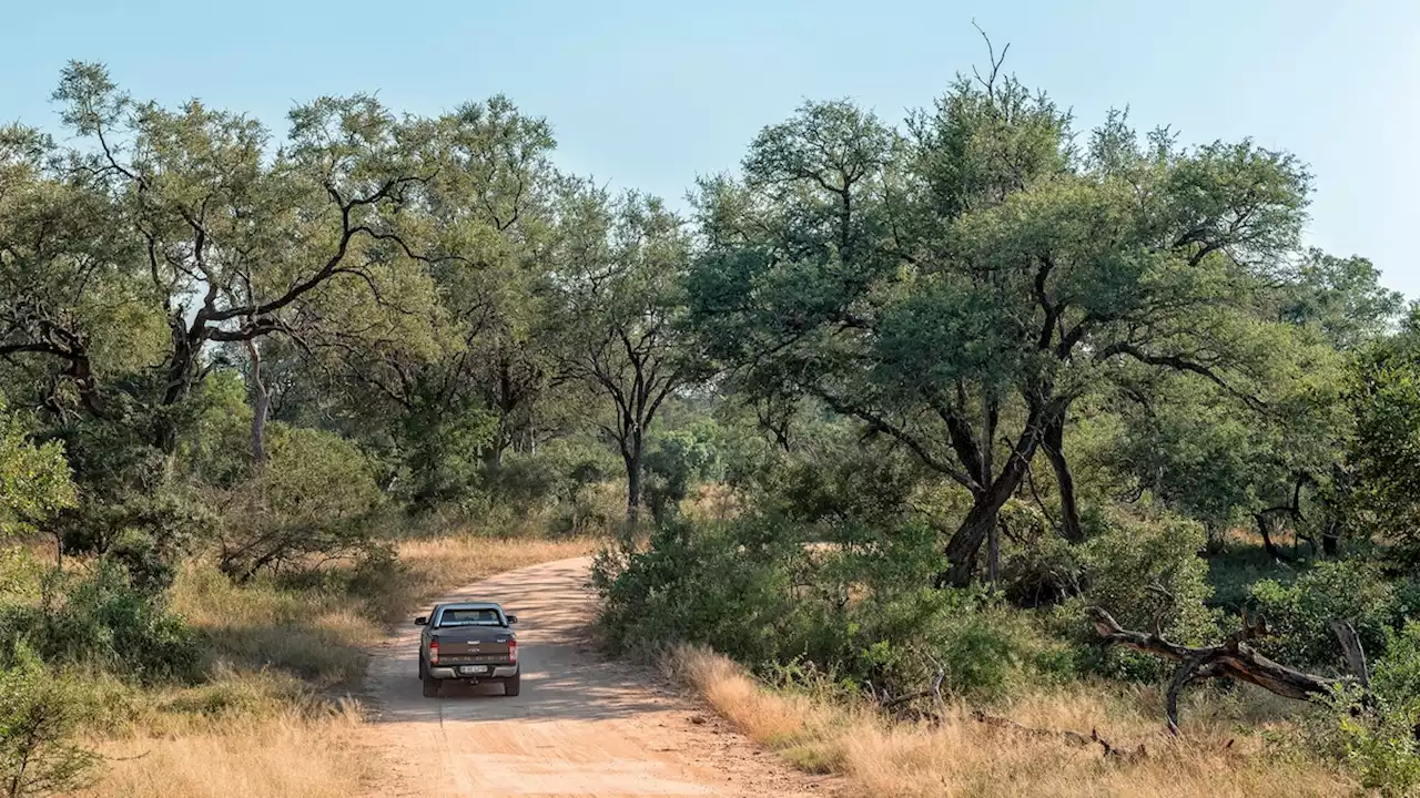 A beginner's budget self-drive safari in the Kruger National Park, South Africa