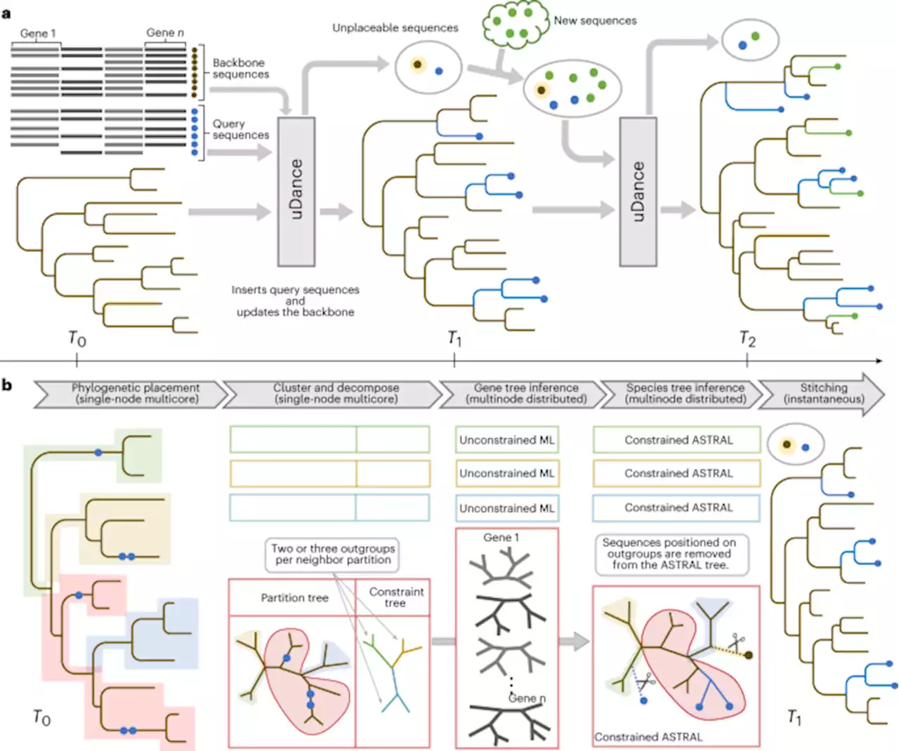 Generation of accurate, expandable phylogenomic trees with uDance - Nature Biotechnology