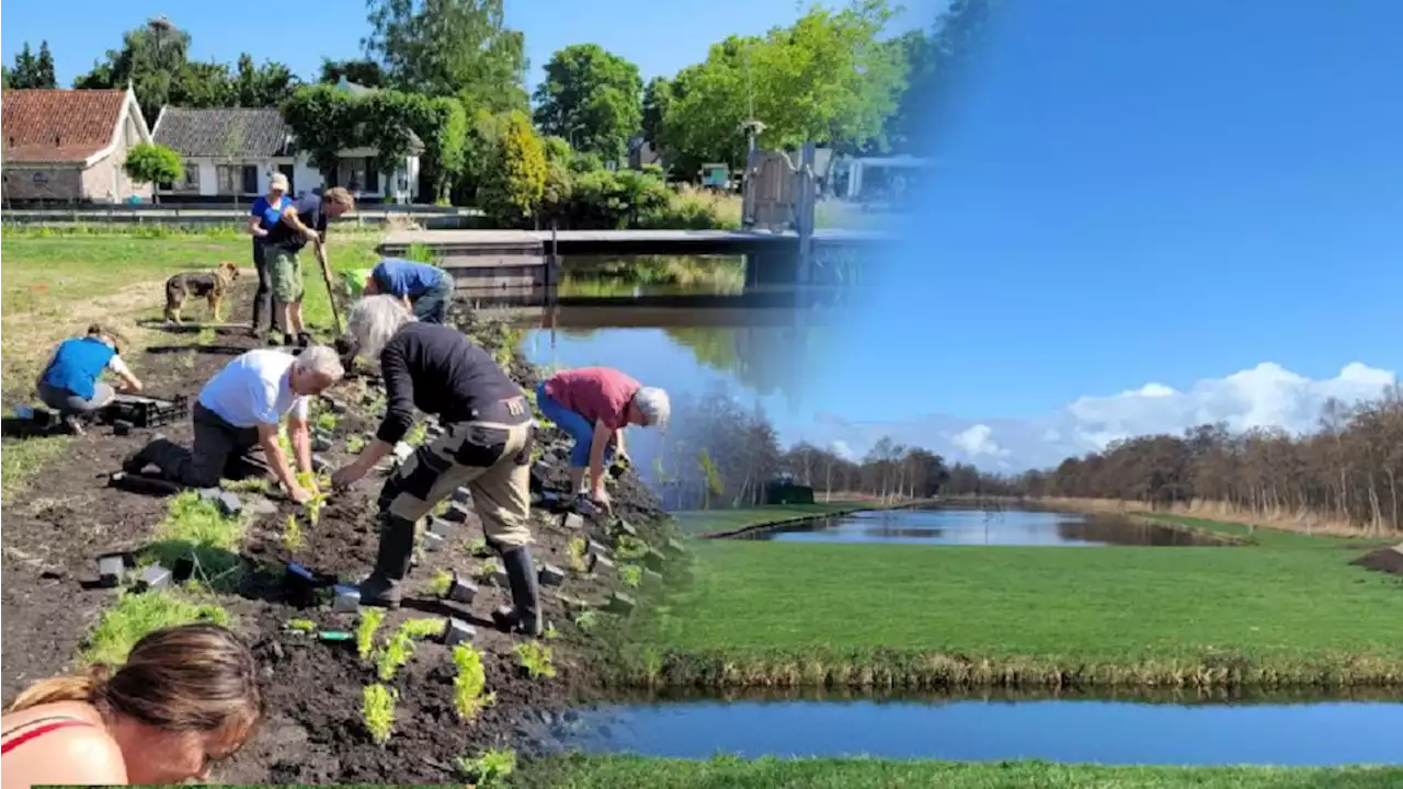 Noord-Hollanders maken met subsidie hun buurt zélf groener, helpt het ook?