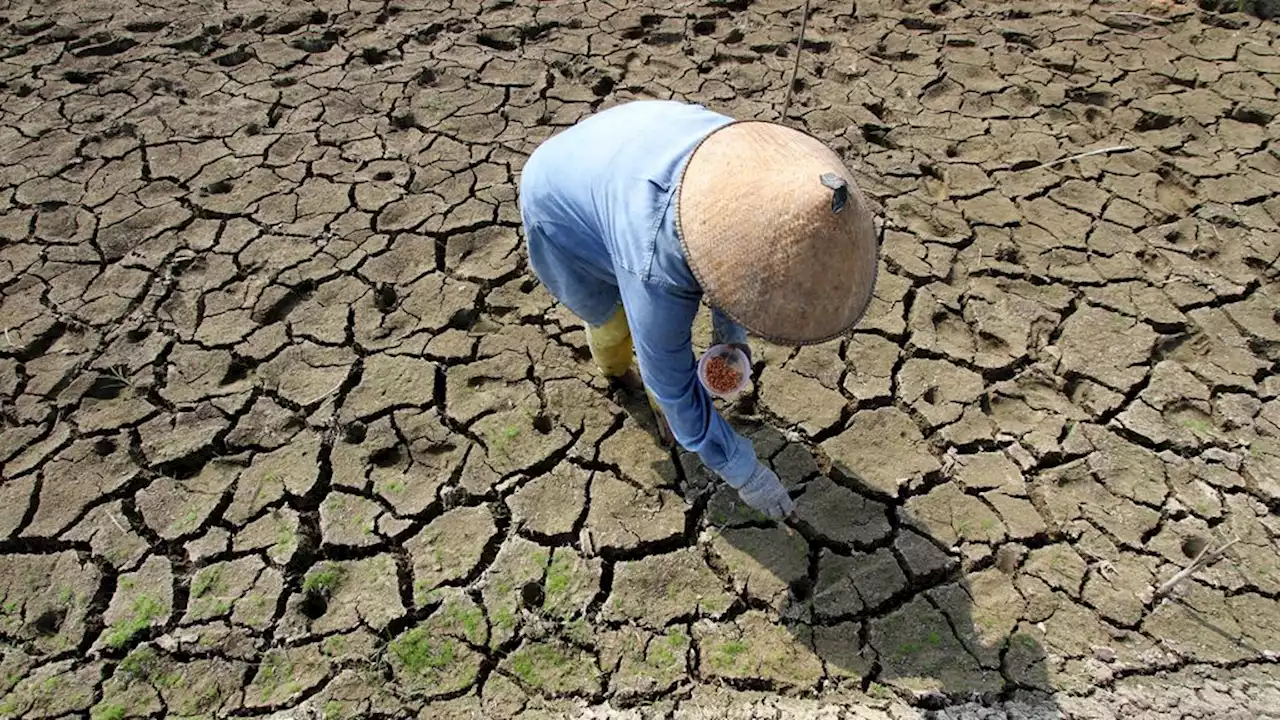 Na juni ook juli 2023 wereldwijd de warmste maand ooit gemeten