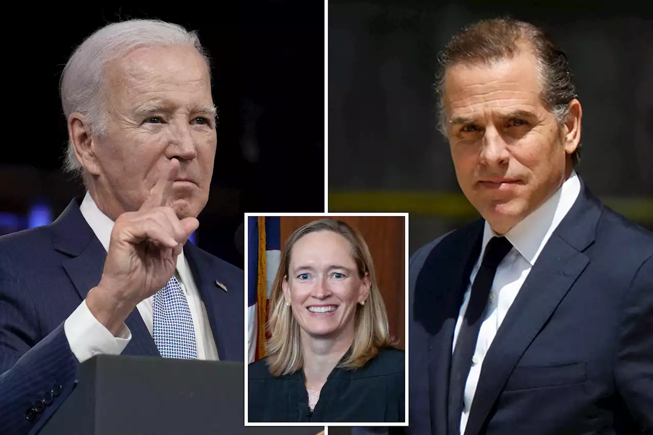 Hunter Biden won’t get pardon from father, White House insists