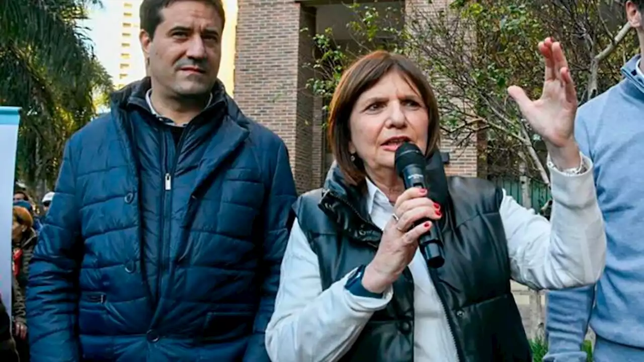 De la pelea provincial al juego nacional | Dos legisladores bonaerenses de Bullrich que buscan su lugar en el Congreso