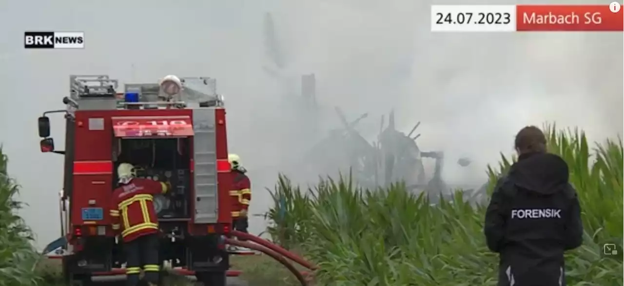 Marbach SG: Feuer zerstört Stall – Sachschaden über 100’000 Franken (Video)