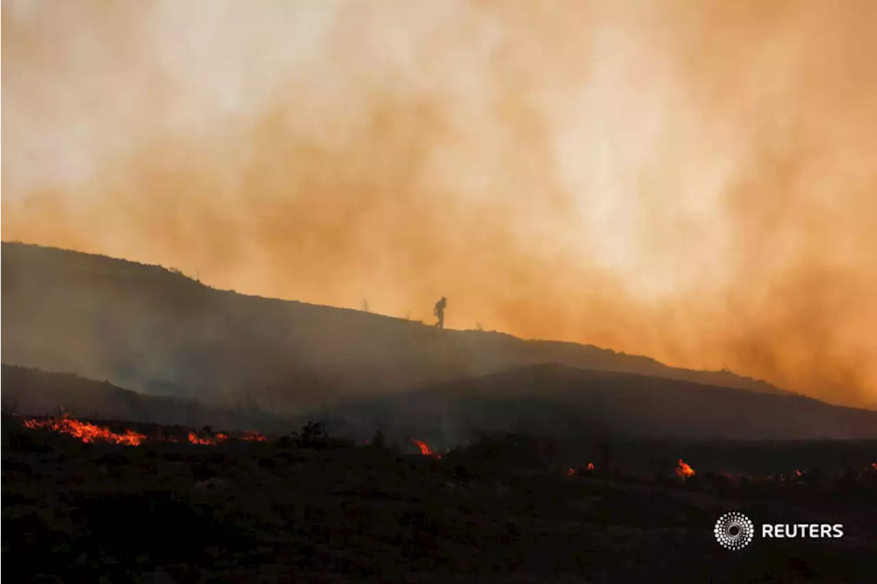 Firefighters battle Greece wildfires overnight as farms, factories burn