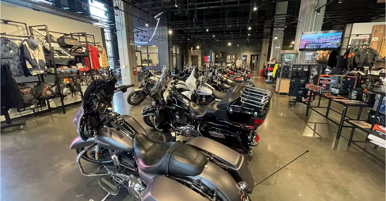 Harley-Davidson profit skids, outlook revised on production halt