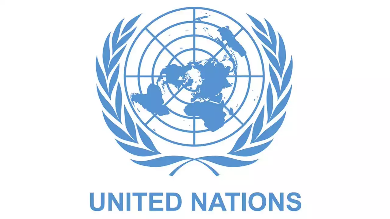 Internally Displaced Persons In Benue State Now Worse Than North-East Region – UN Official | Sahara Reporters