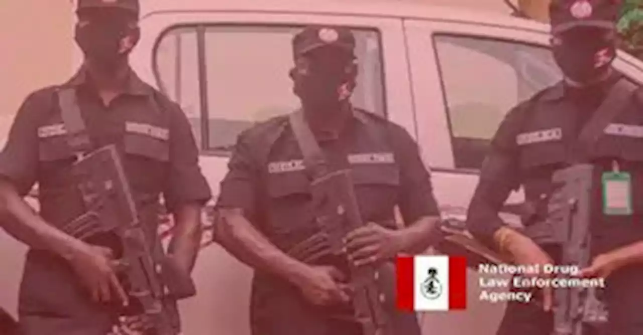 Nigerian Anti-Narcotic Agency, NDLEA Shoots Two Persons Dead During Raid In Lagos | Sahara Reporters