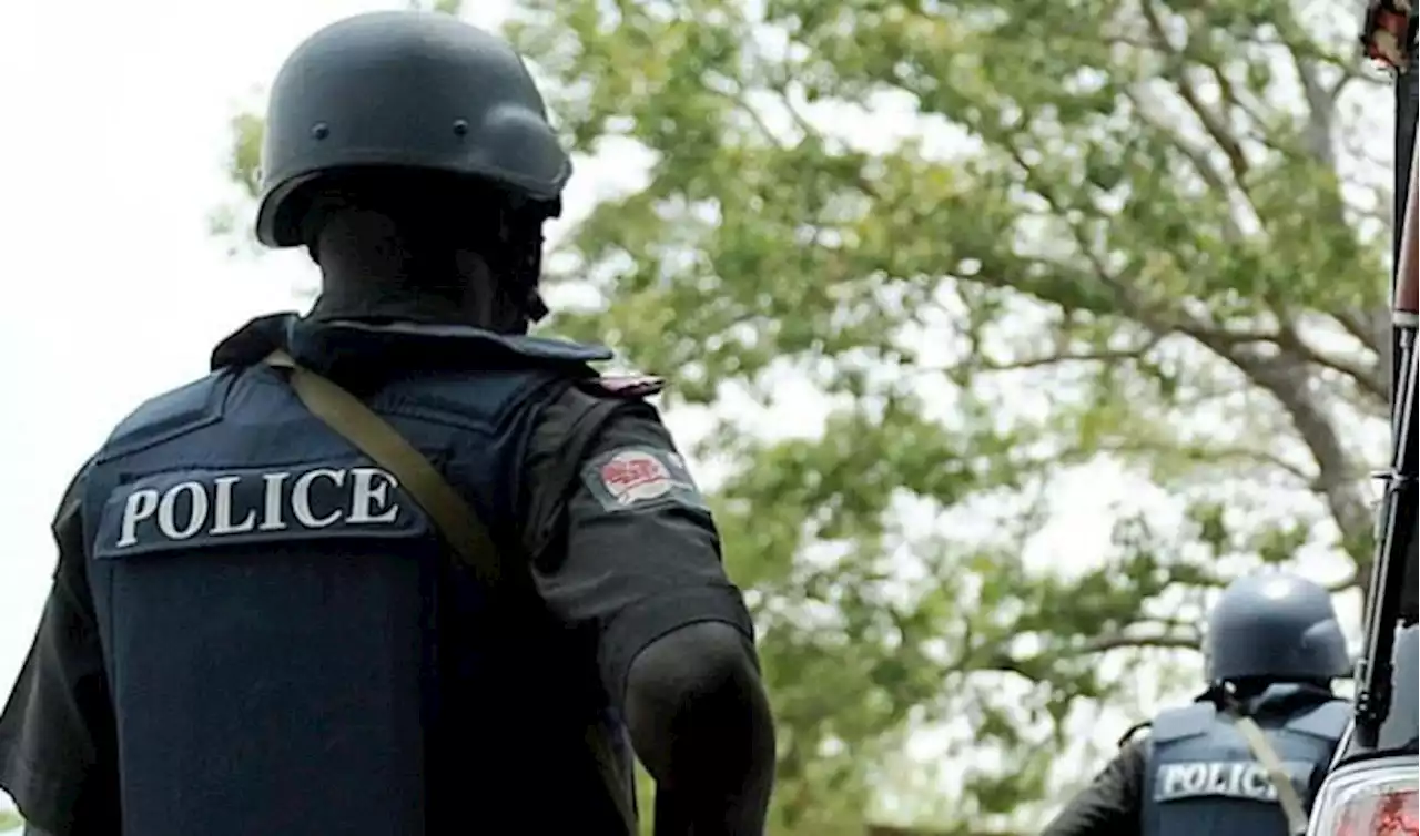 Nigerian Police Arrest Two Teenagers For Allegedly Stealing Newborn Baby In Bauchi State | Sahara Reporters