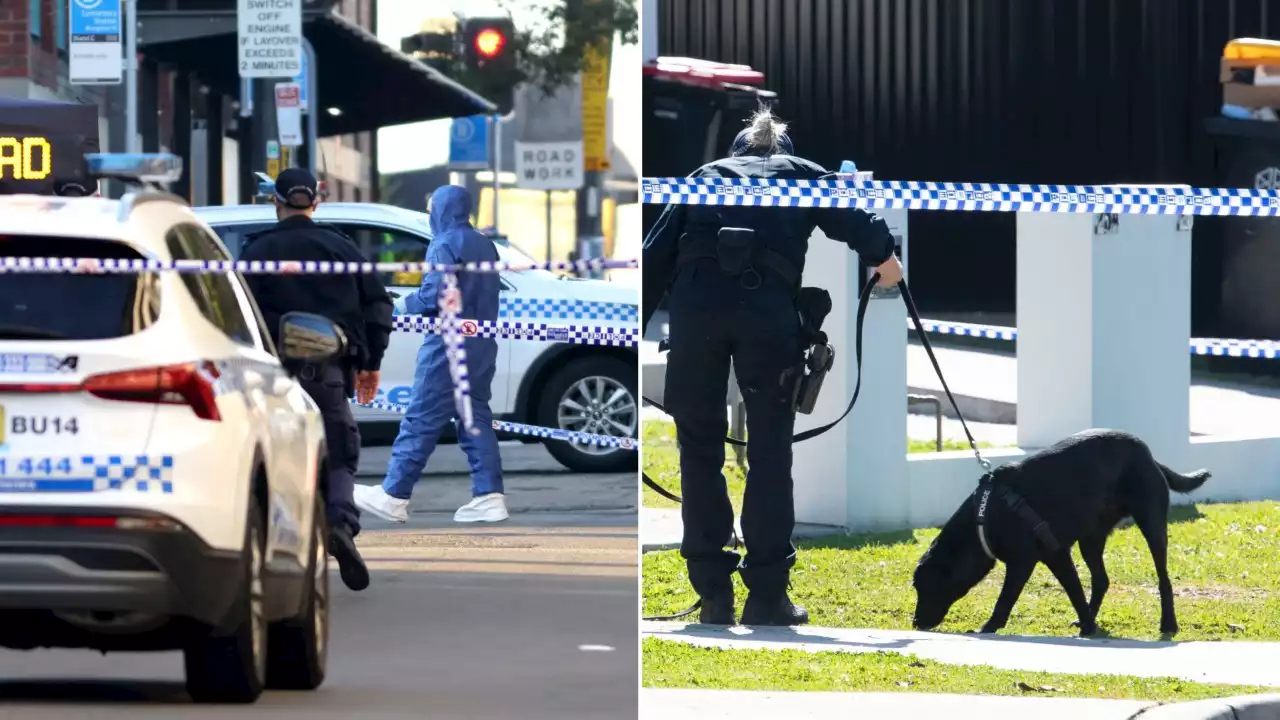 Crime editor reveals potential reasons behind spate of Sydney shootings