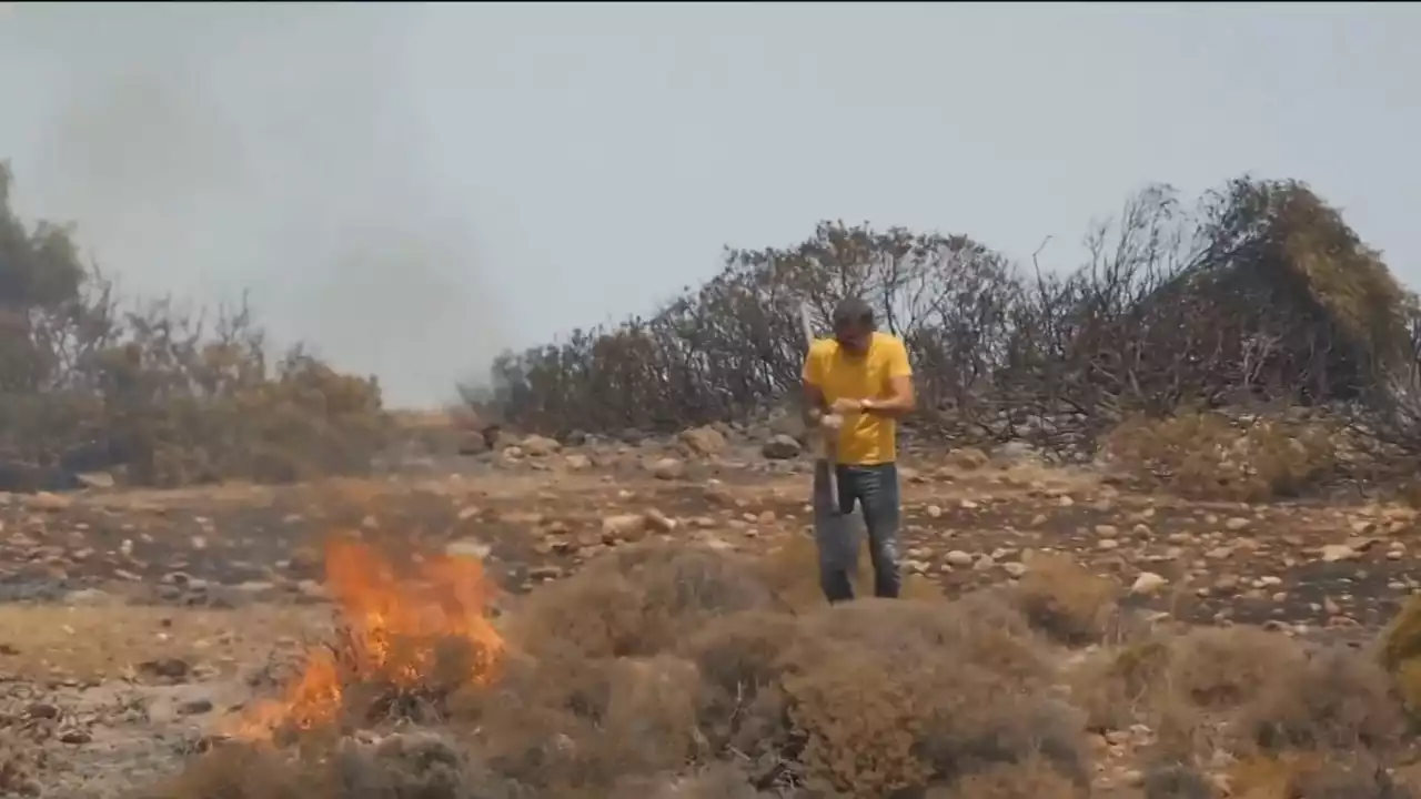 Greece residents forced battle raging wildfires to protect homes