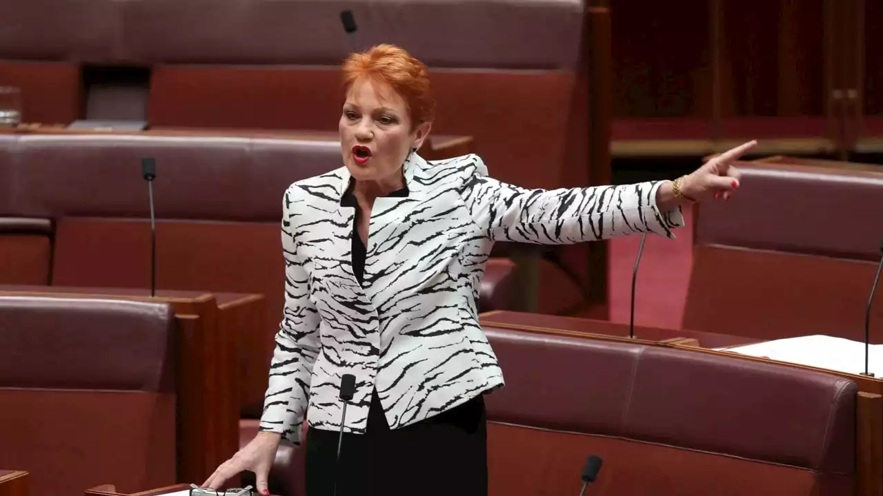 ‘Up in arms’: Pauline Hanson slams Labor’s push for wind turbines