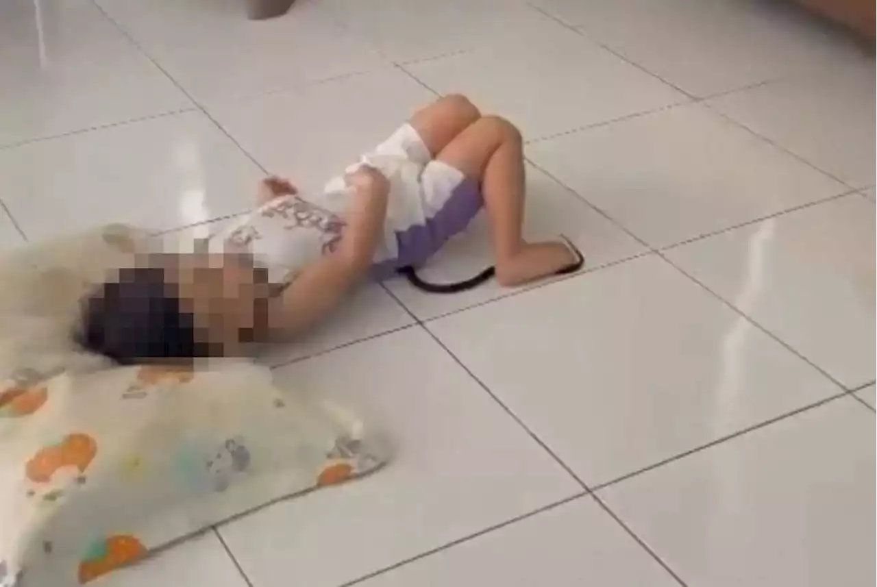 QuickCheck: Did a young boy accidentally lie down on a cobra?