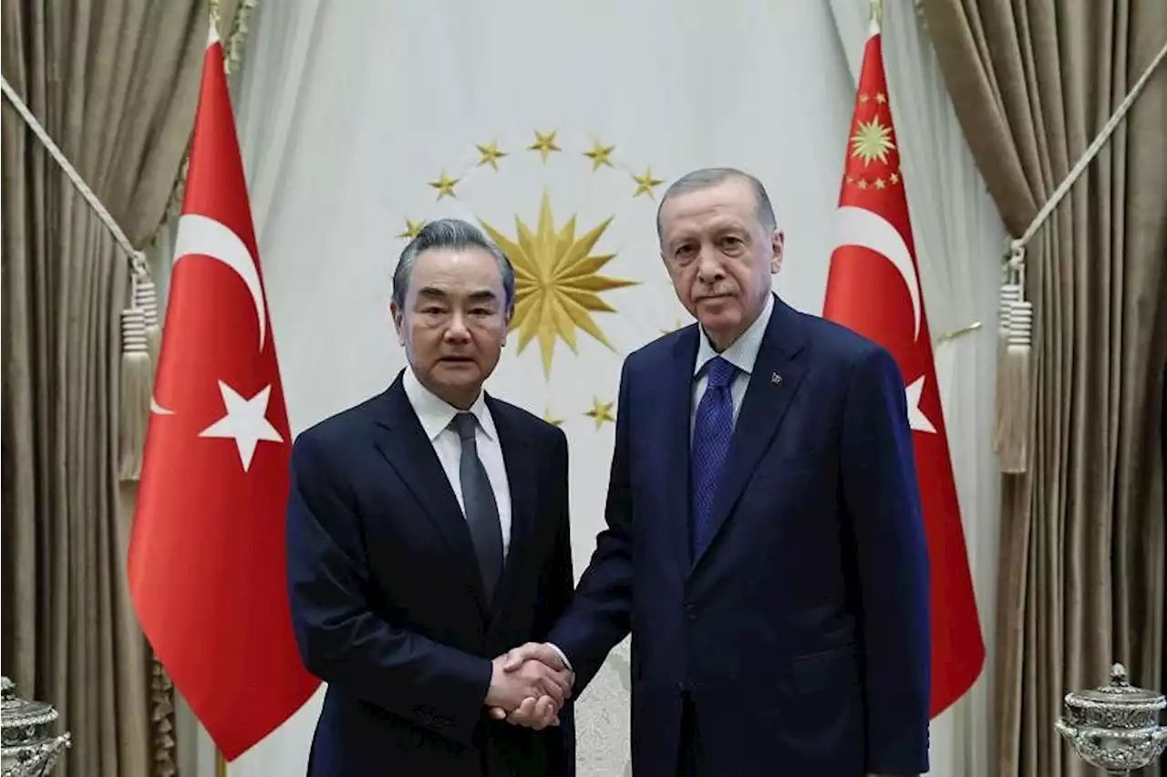 Newly appointed Chinese foreign minister Wang Yi talks Ukraine in Turkey on first trip