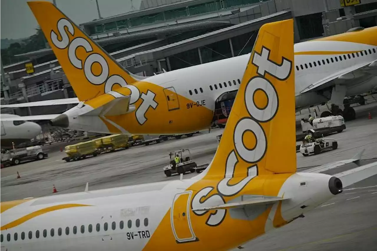 Passengers frustrated as Greece heatwave forces Scoot flights to leave without luggage