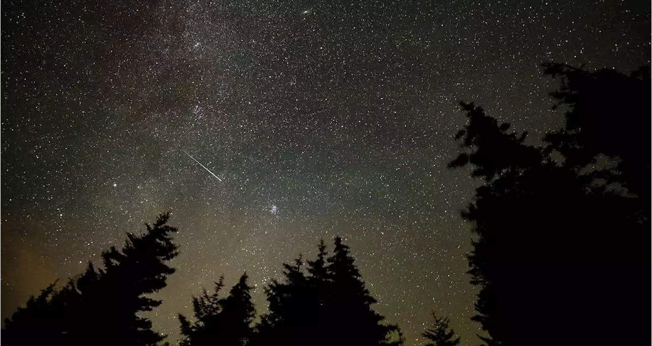 The Perseid meteor shower is currently active and here's where you could see it in Ontario