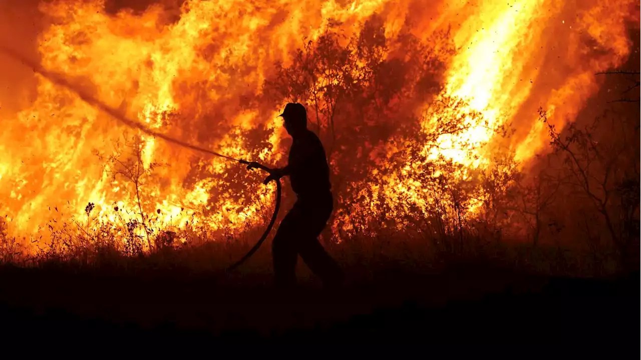 „Es wird wieder ein schwieriger Tag“: Brände auf Rhodos flammen wieder auf