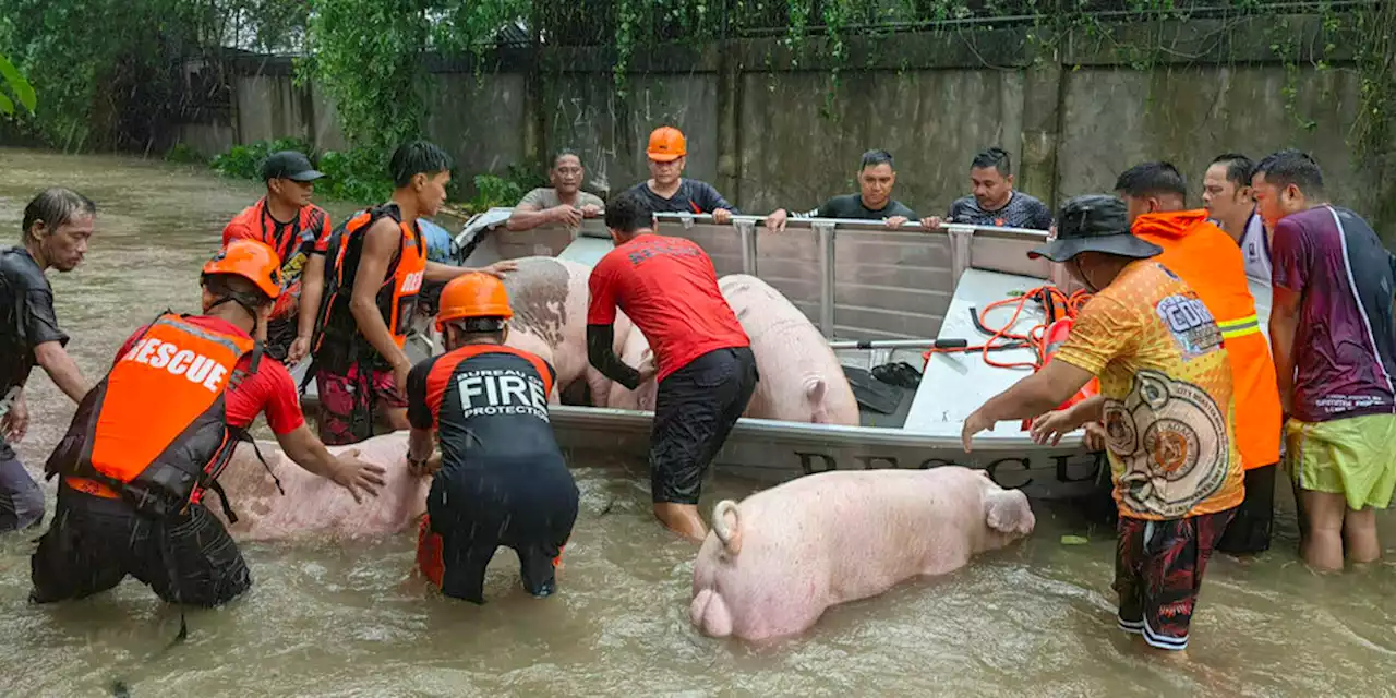 Sieben Tote in den Philippinen: Taifun „Doksuri“ zieht nach China