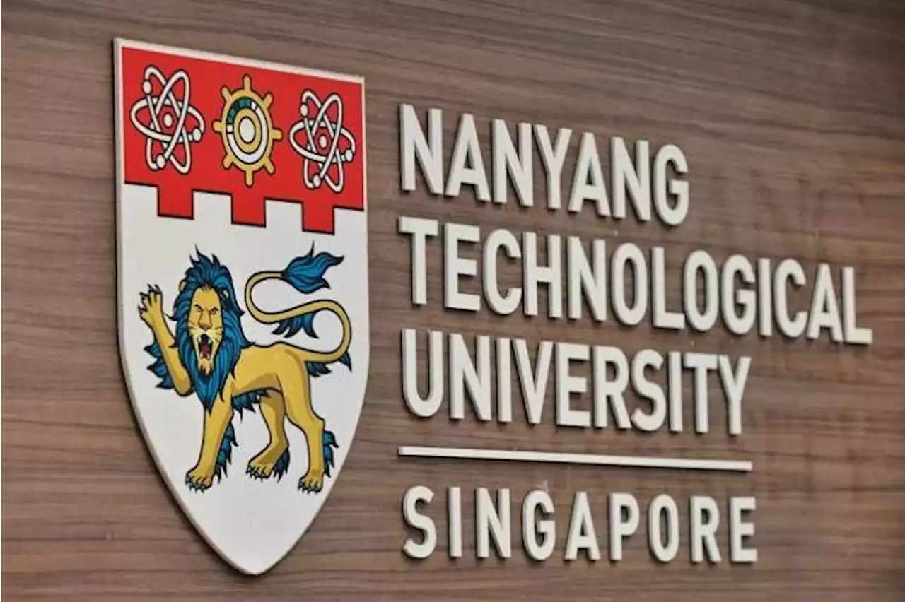 NTU investigating senior professor accused of plagiarising former student’s work