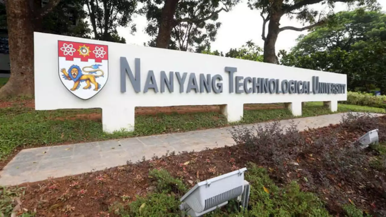 NTU investigating tenured professor accused of plagiarising former student's work