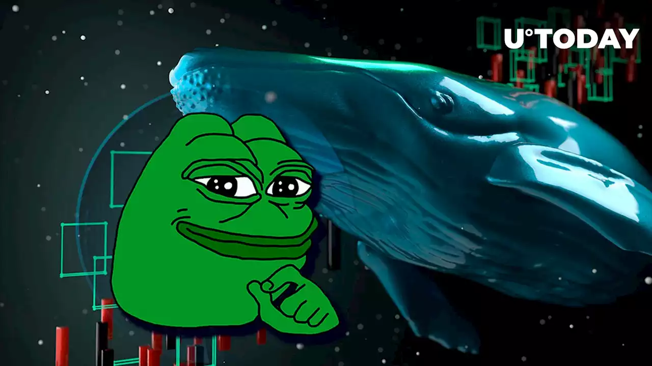 Pepe Whales Cause Waves with Billion-Dollar Buy