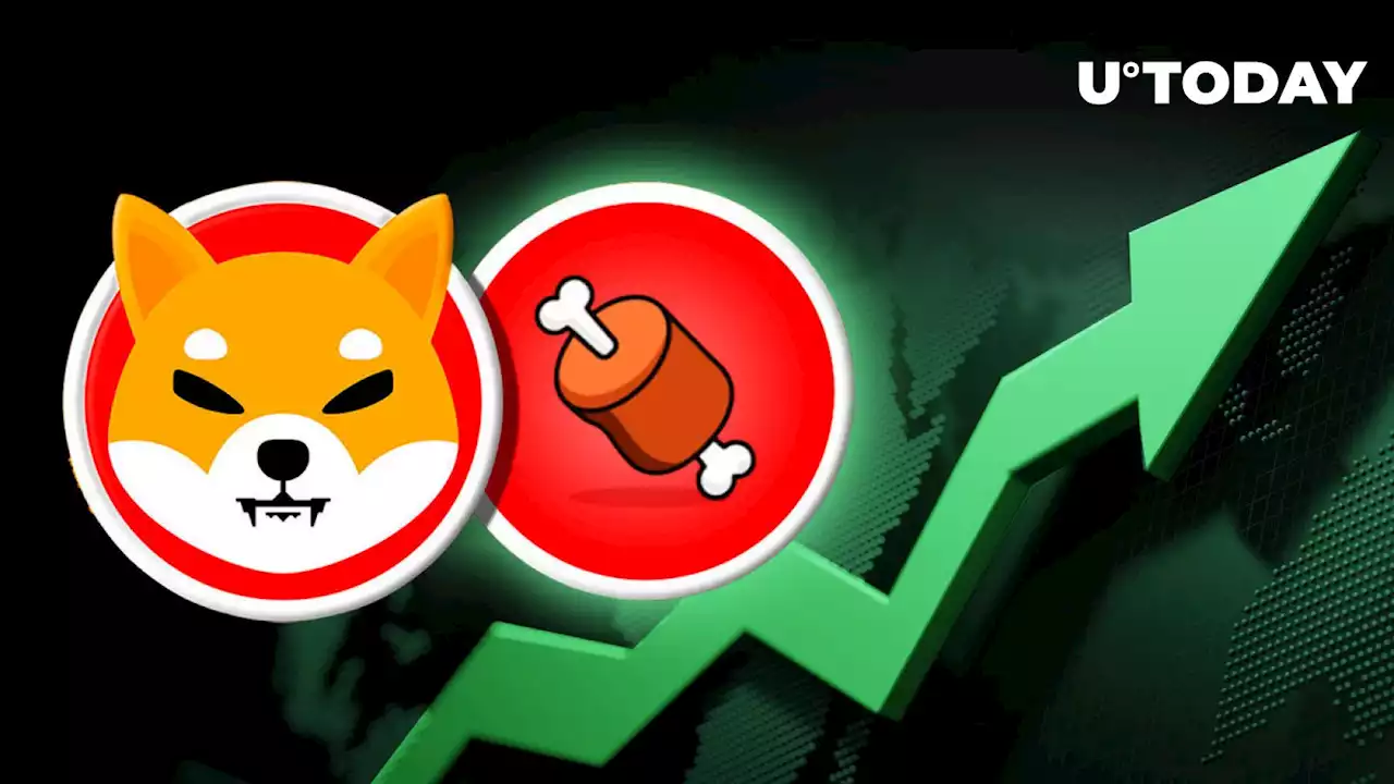 Shibarium Token BONE Jumps as Shiba Inu Hits These Two Milestones