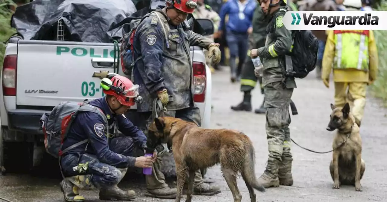 Aumentaron a 28 los muertos tras devastadora avalancha en Quetame