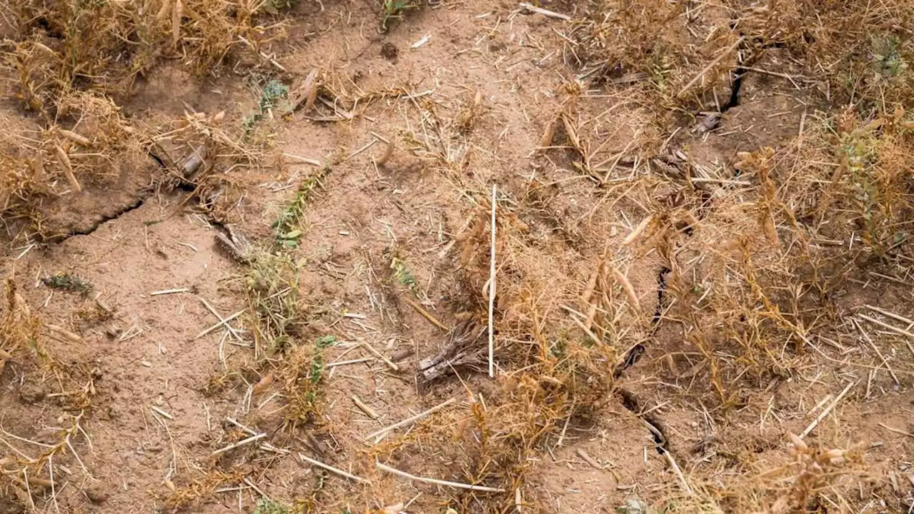 weltweiter hitzerekord in den ersten drei juli-wochen