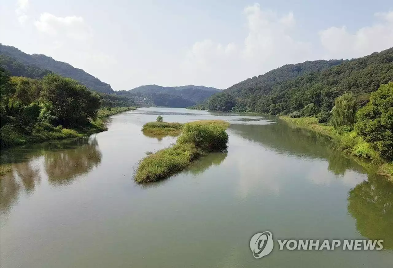 대전 유등천서 70대 남성 익사…장마 후 다슬기 채취 주의 | 연합뉴스