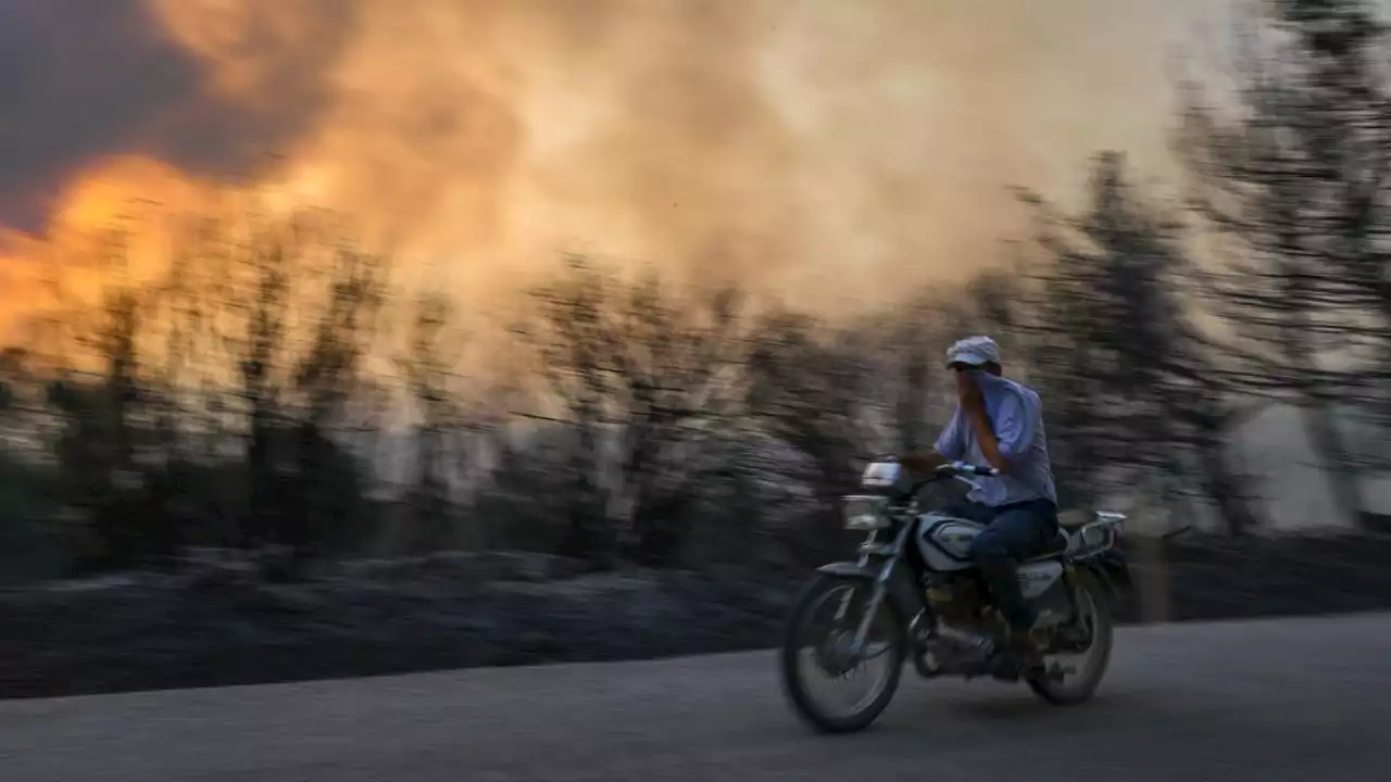 Juli 2023 laut WMO wohl heißester Monat seit Jahrtausenden