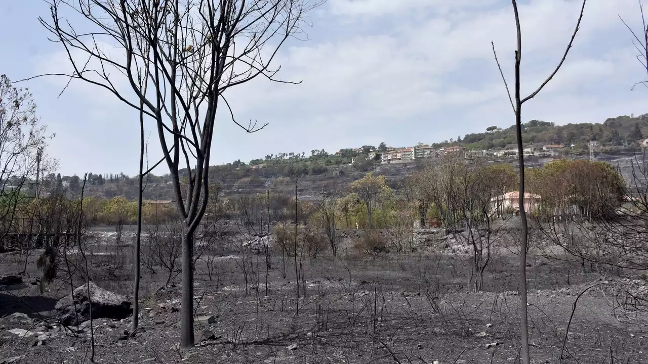 Algunos incendios en Italia podrían ser provocados y el Gobierno busca a los culpables