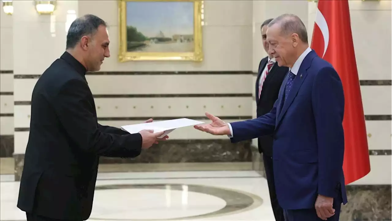 سفیر جدید ایران استوارنامه خود را به اردوغان تقدیم کرد