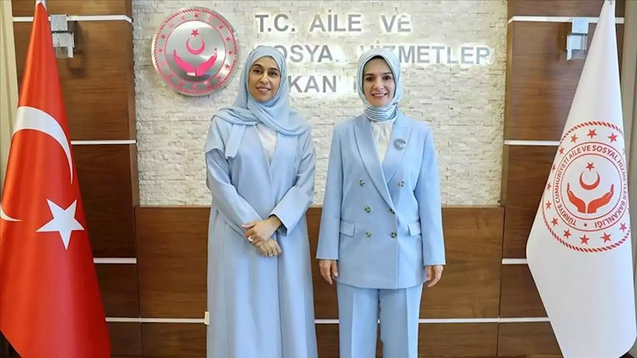 همکاری مشترک ترکیه و امارات در مبارزه با تهدیدات علیه وحدت خانواده