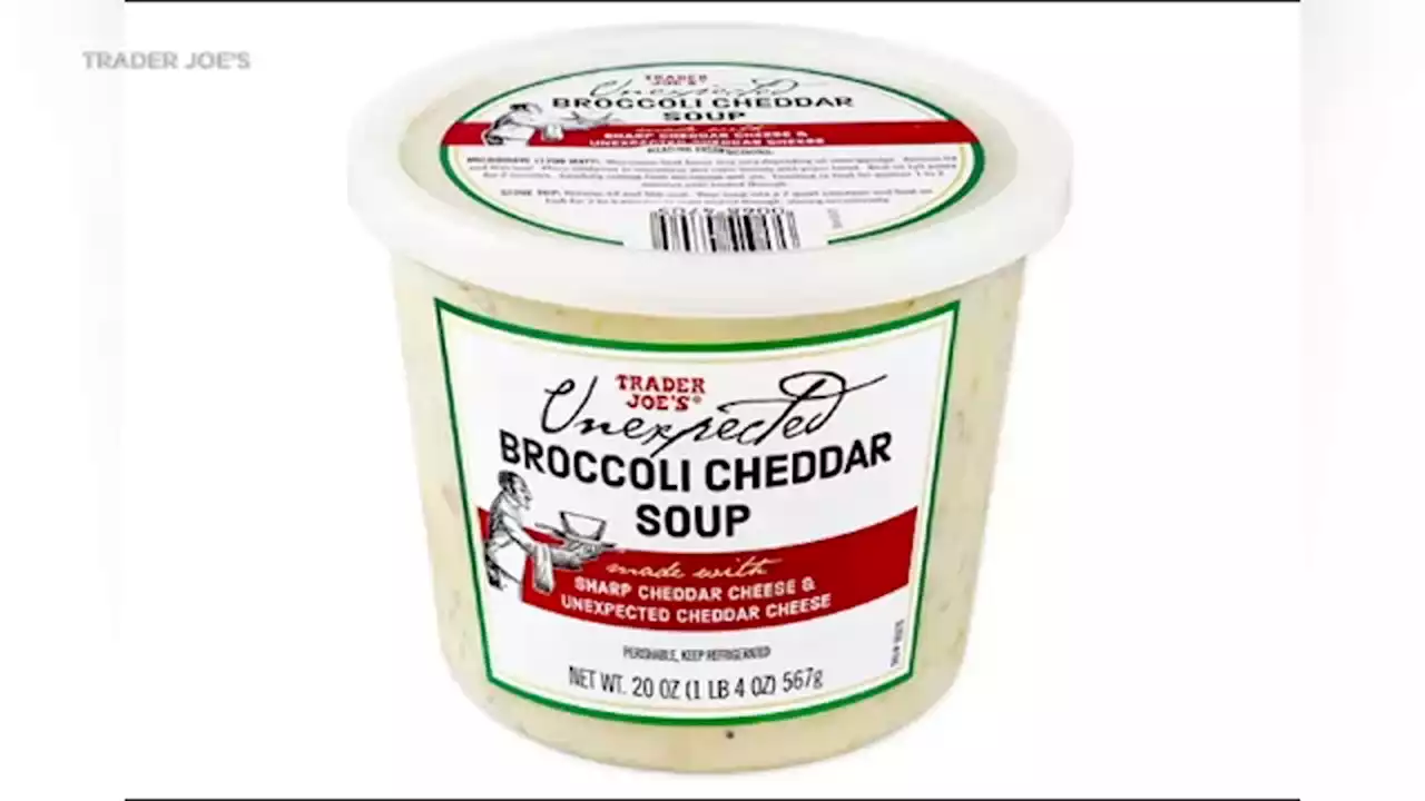 Trader Joe's recalls 10K cases of broccoli cheddar soup that 'may contain insects'