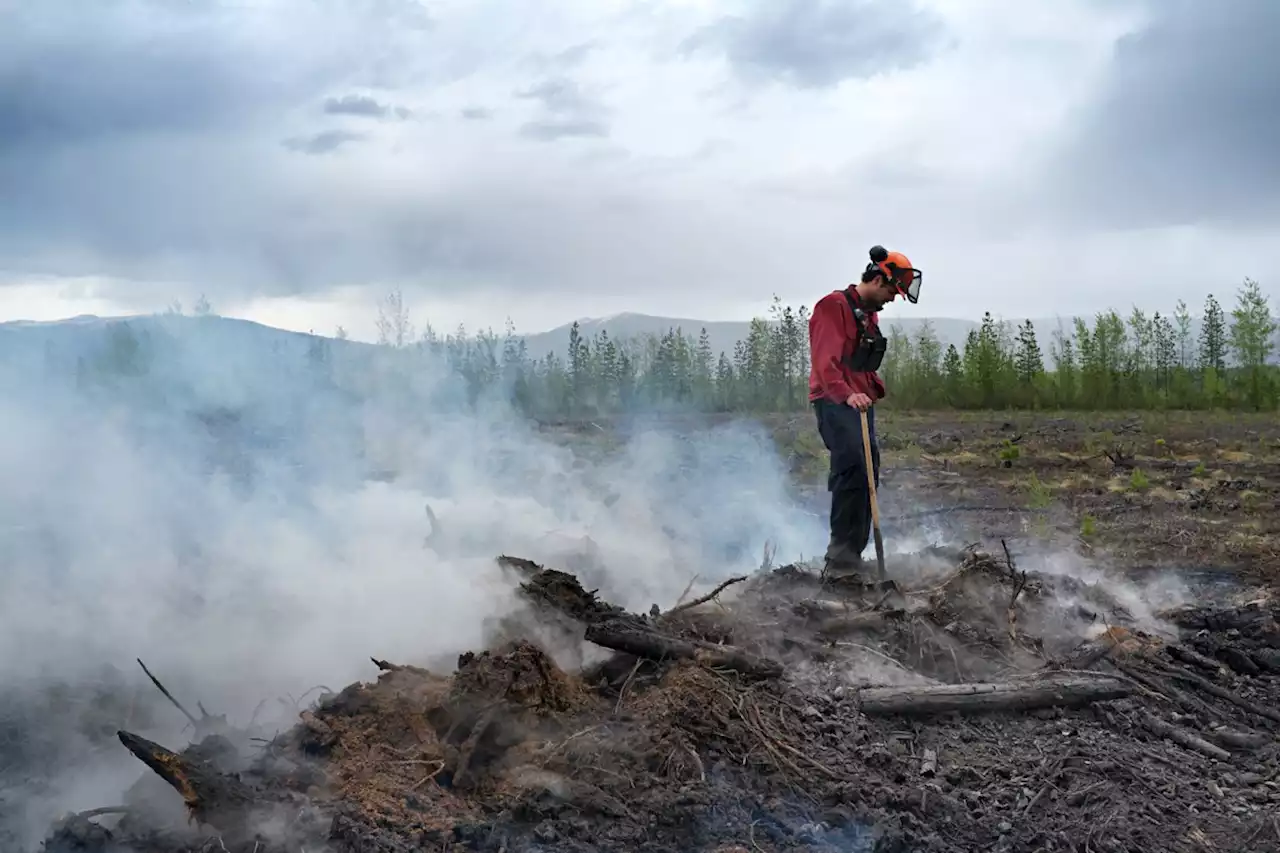 Opinion: Human activities are fuelling wildfires that burn essential carbon-sequestering peatlands