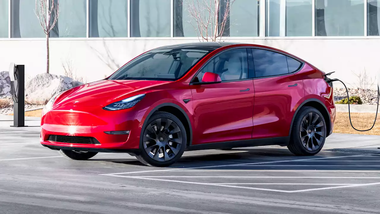 Tesla And MG Sales Soar Across Europe, Model Y Still Continent's Best-Selling Car | Carscoops