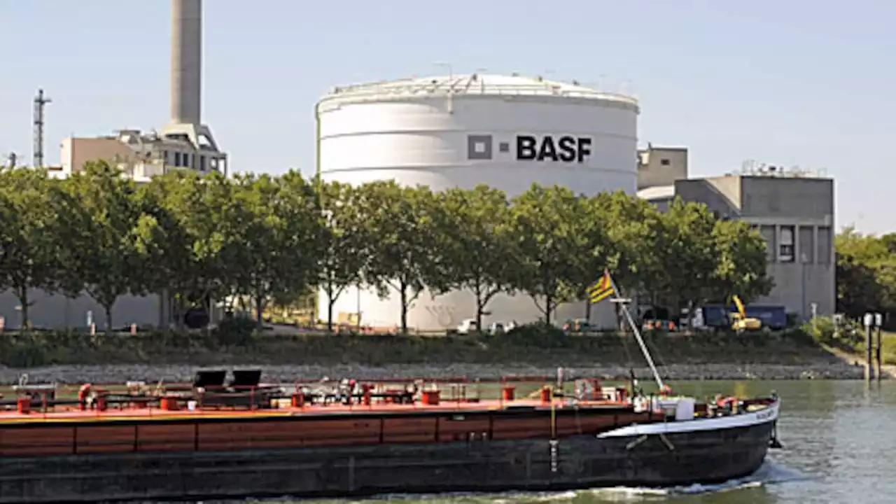 BASF-Chef setzt auf den Markt in China und investiert